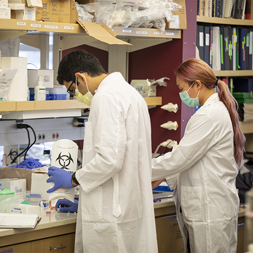 Two people in lab coats and masks work at a counter with scientific equipment.